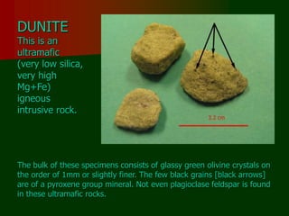 DUNITE
This is an
ultramafic
(very low silica,
very high
Mg+Fe)
igneous
intrusive rock.
The bulk of these specimens consists of glassy green olivine crystals on
the order of 1mm or slightly finer. The few black grains [black arrows]
are of a pyroxene group mineral. Not even plagioclase feldspar is found
in these ultramafic rocks.
 