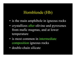Hornblende (Hb)
• is the main amphibole in igneous rocks
• crystallizes after olivine and pyroxenes• crystallizes after olivine and pyroxenes
from mafic magmas, and at lower
temperature
• is most common in intermediate
composition igneous rocks
d bl h i ili t• double-chain silicate
 