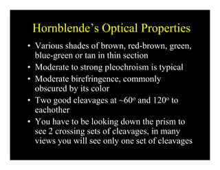 Hornblende’s Optical PropertiesHornblende s Optical Properties
• Various shades of brown, red-brown, green,
bl i hi iblue-green or tan in thin section
• Moderate to strong pleochroism is typical
• Moderate birefringence, commonly
obscured by its color
• Two good cleavages at ~60o and 120o to
eachother
• You have to be looking down the prism to
see 2 crossing sets of cleavages, in many
i ill l t f lviews you will see only one set of cleavages
 