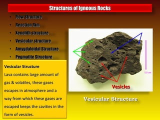 • Flow StructureFlow Structure
• Reaction RimReaction Rim
• Xenolith structureXenolith structure
• Vesicular structureVesicular structure
• Amygdaloidal StructureAmygdaloidal Structure
• Pegmatite StructurePegmatite Structure
Structures of Igneous RocksStructures of Igneous Rocks
VesiclesVesicles
Vesicular StructureVesicular Structure
Vesicular StructureVesicular Structure
Lava contains large amount ofLava contains large amount of
gas & volatiles, these gasesgas & volatiles, these gases
escapes in atmosphere and aescapes in atmosphere and a
way from which these gases areway from which these gases are
escaped keeps the cavities in theescaped keeps the cavities in the
form of vesicles.form of vesicles.
 