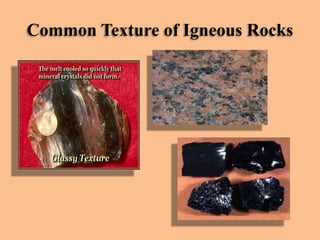 Common Texture of Igneous Rocks

 