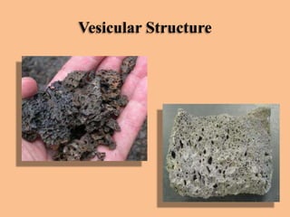 Vesicular Structure

 