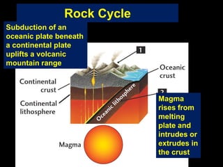 Subduction of an
oceanic plate beneath
a continental plate
uplifts a volcanic
mountain range
Magma
rises from
melting
plate and
intrudes or
extrudes in
the crust
Rock Cycle
 