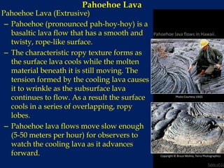 Pahoehoe Lava
Pahoehoe Lava (Extrusive)
– Pahoehoe (pronounced pah-hoy-hoy) is a
basaltic lava flow that has a smooth and
twisty, rope-like surface.
– The characteristic ropy texture forms as
the surface lava cools while the molten
material beneath it is still moving. The
tension formed by the cooling lava causes
it to wrinkle as the subsurface lava
continues to flow. As a result the surface
cools in a series of overlapping, ropy
lobes.
– Pahoehoe lava flows move slow enough
(5-50 meters per hour) for observers to
watch the cooling lava as it advances
forward. Copyright © Bruce Molina, Terra Photographics
Photo Courtesy USGS
Pahoehoe lava flows in Hawaii.
Table of Co
 