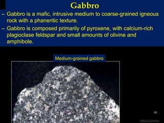Gabbro
– Gabbro is a mafic, intrusive medium to coarse-grained igneous
rock with a phaneritic texture.
– Gabbro is composed primarily of pyroxene, with calcium-rich
plagioclase feldspar and small amounts of olivine and
amphibole.
Medium-grained gabbro
60
Table of Contents
 
