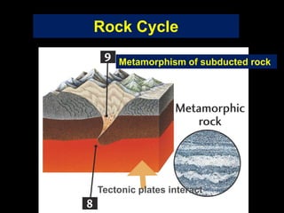 Tectonic plates interact
Metamorphism of subducted rock
Rock Cycle
 