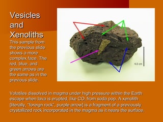 VesiclesVesicles
andand
XenolithsXenoliths
This sample fromThis sample from
the previous slidethe previous slide
shows a moreshows a more
complex face. Thecomplex face. The
red, blue, andred, blue, and
green arrows aregreen arrows are
the same as in thethe same as in the
previous slide.previous slide.
Volatiles dissolved in magma under high pressure within the EarthVolatiles dissolved in magma under high pressure within the Earth
escape when lava is erupted, like COescape when lava is erupted, like CO22 from soda pop. A xenolithfrom soda pop. A xenolith
[literally, “foreign rock”, purple arrow] is a fragment of a previously[literally, “foreign rock”, purple arrow] is a fragment of a previously
crystallized rock incorporated in the magma as it nears the surface.crystallized rock incorporated in the magma as it nears the surface.
 