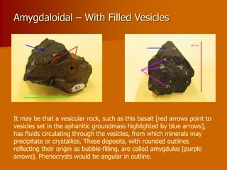 Amygdaloidal – With Filled Vesicles
It may be that a vesicular rock, such as this basalt [red arrows point to
vesicles set in the aphanitic groundmass highlighted by blue arrows],
has fluids circulating through the vesicles, from which minerals may
precipitate or crystallize. These deposits, with rounded outlines
reflecting their origin as bubble-filling, are called amygdules [purple
arrows]. Phenocrysts would be angular in outline.
 