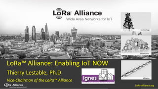 LoRa-Alliance.org
LoRa™ Alliance: Enabling IoT NOW
Thierry Lestable, Ph.D
Vice-Chairman of the LoRa™ Alliance
LoRa-Alliance.org
 