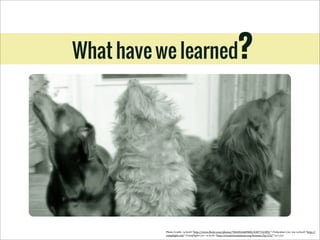 What have we learned?

Photo	
  Credit:	
  <a	
  href="http://www.5lickr.com/photos/78428166@N00/4387722389/">Tobyotter</a>	
  via	
  <a	
  href="http://
comp5ight.com">Comp5ight</a>	
  <a	
  href="http://creativecommons.org/licenses/by/2.0/">cc</a>

 