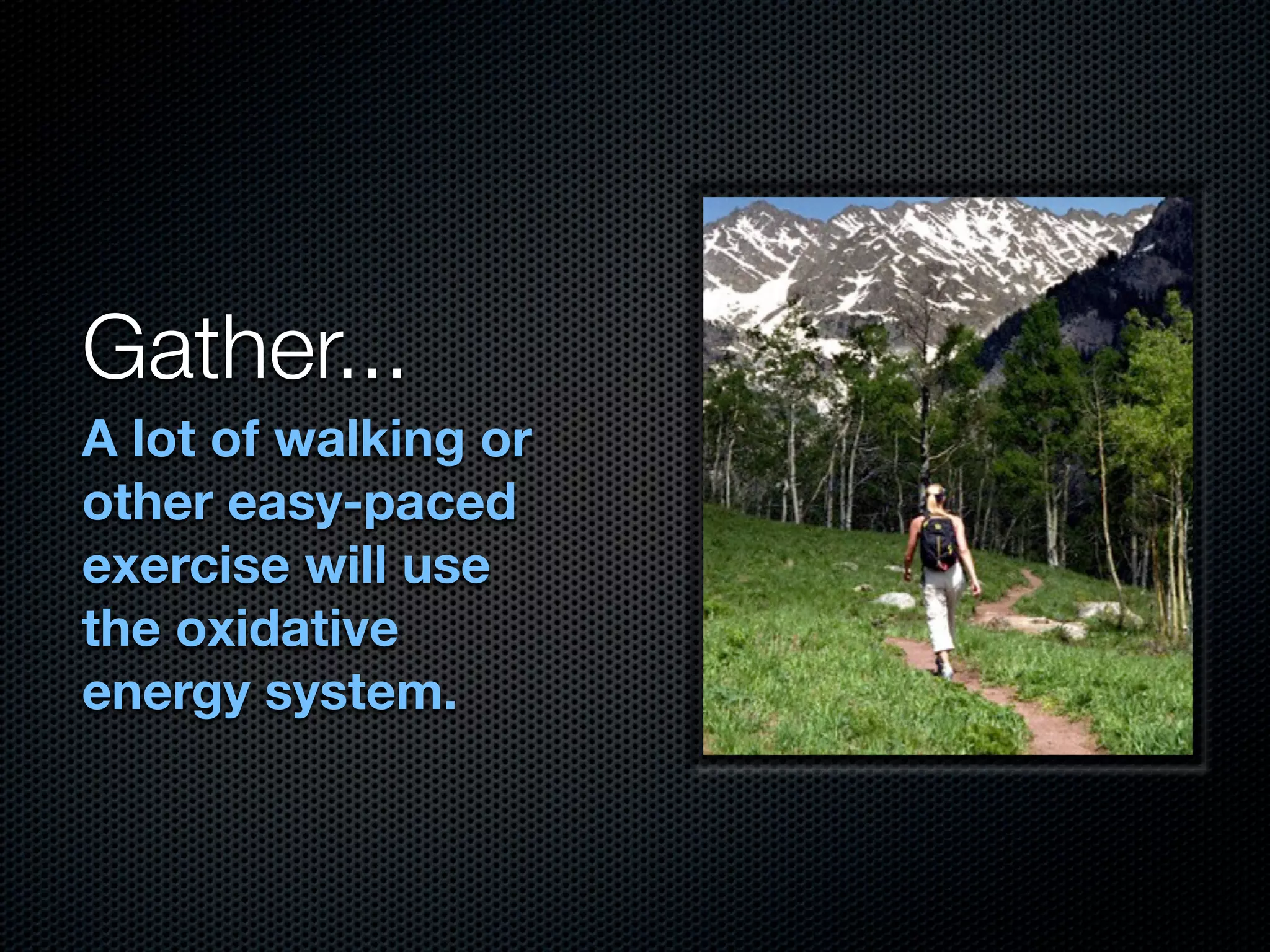 Gather...
A lot of walking or
other easy-paced
exercise will use
the oxidative
energy system.
 