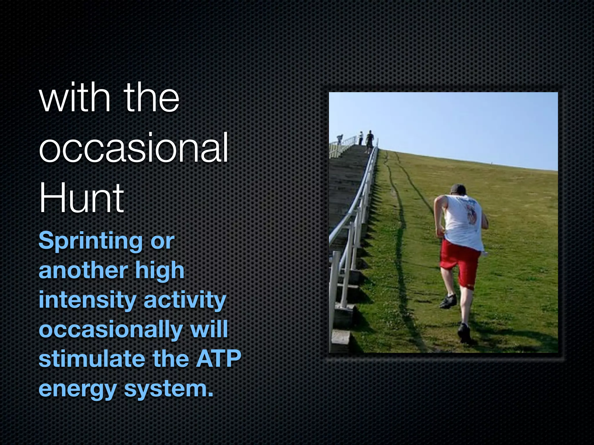 with the
occasional
Hunt
Sprinting or
another high
intensity activity
occasionally will
stimulate the ATP
energy system.
 