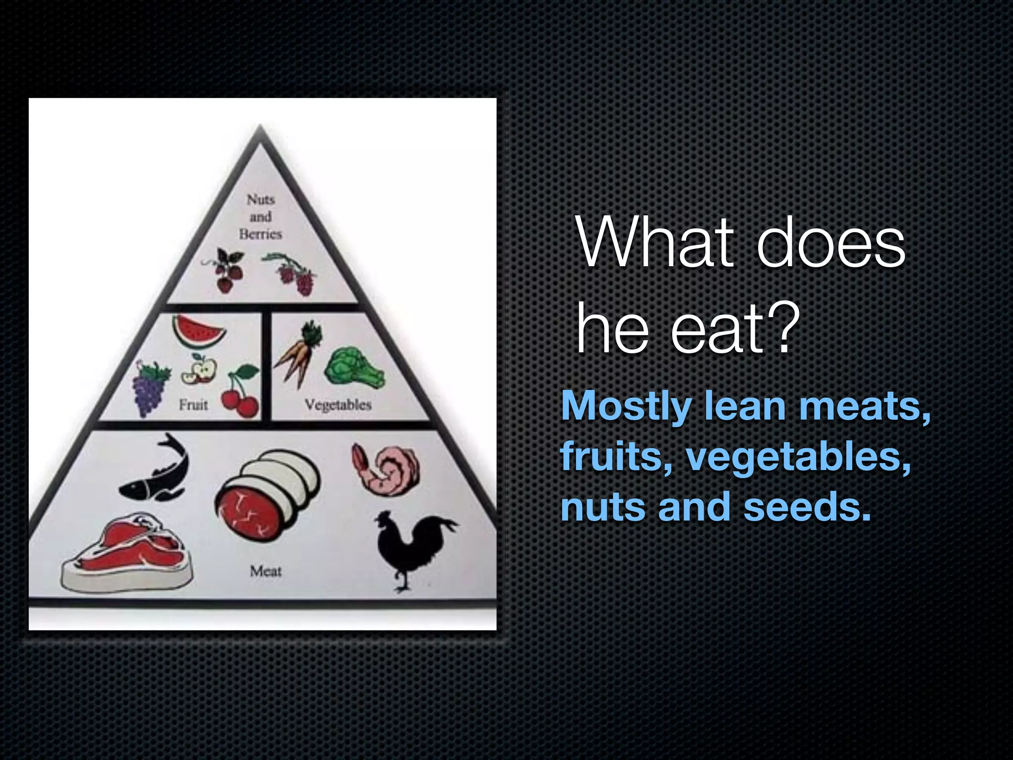 What does
he eat?
Mostly lean meats,
fruits, vegetables,
nuts and seeds.
 