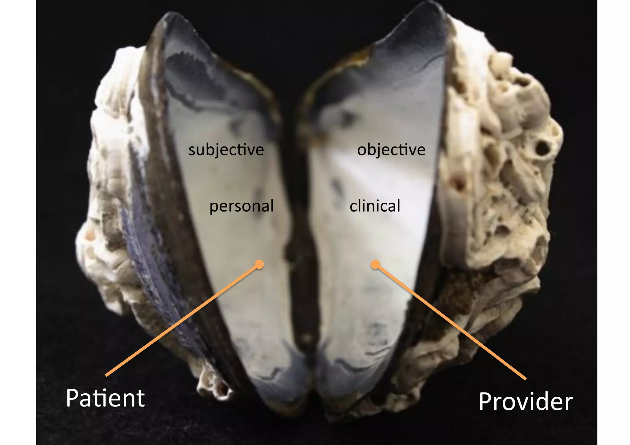 Body of Knowledge: Building Click Through Health @Ignite Boulder