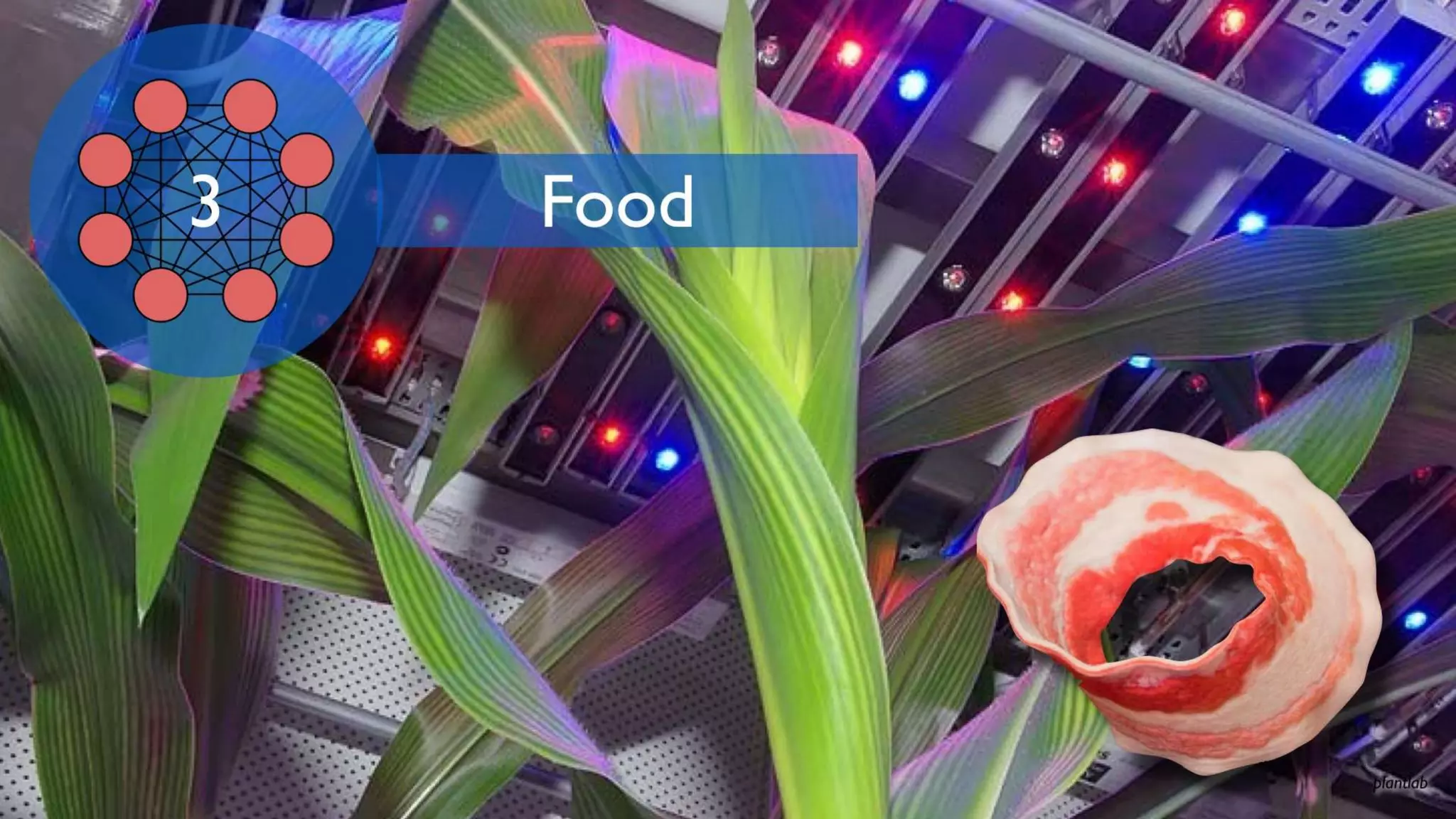 Network Society - The distributed social organization replacing the nation state