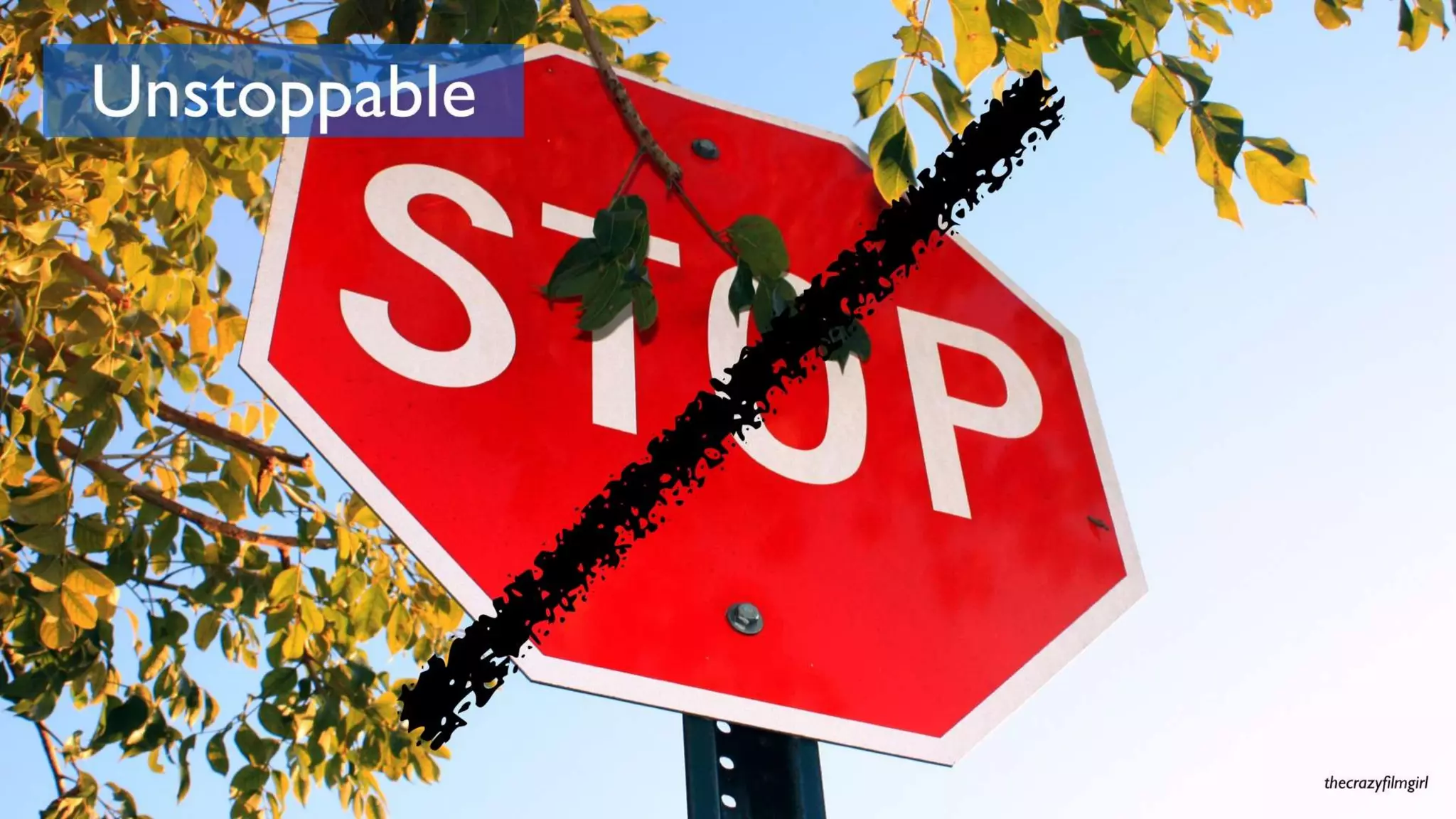 Network Society - The distributed social organization replacing the nation state