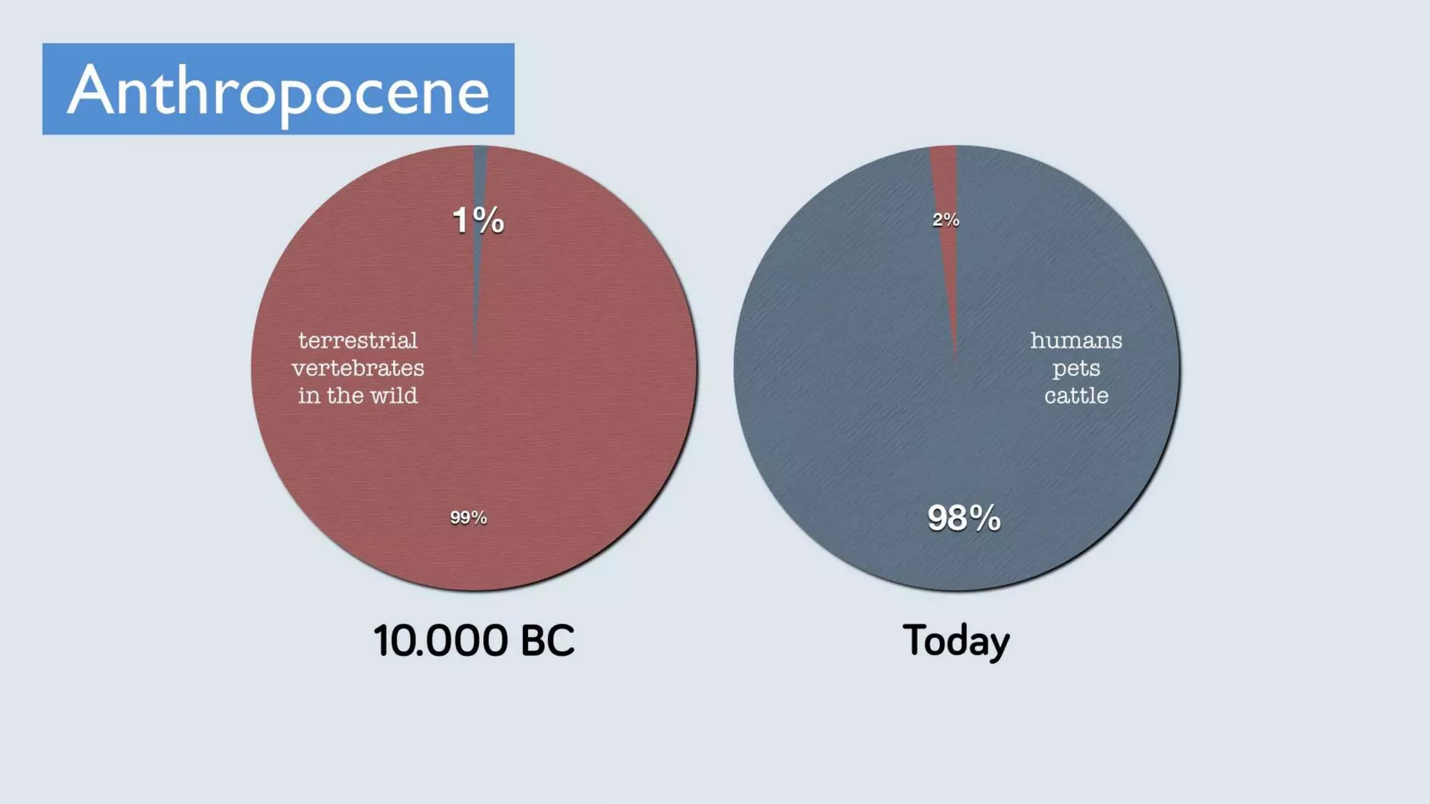 Network Society - The distributed social organization replacing the nation state