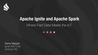 © 2017 GridGain Systems, Inc.
Where Fast Data Meets the IoT
Apache Ignite and Apache Spark
Denis Magda
Ignite PMC Chair
GridGain PM
 