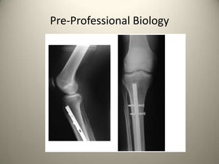 Pre-Professional Biology

 