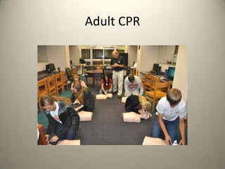 Adult CPR

 