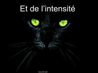 Source Mr eNil   Et de l’intensité  