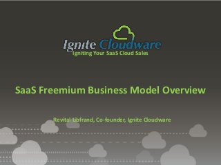 Igniting Your SaaS Cloud Sales
SaaS Freemium Business Model Overview
Revital Libfrand, Co-founder, Ignite Cloudware
 