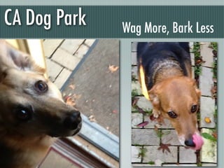 CA Dog Park   Wag More, Bark Less
 