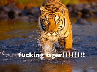 fucking tiger!1!1!1!!
 