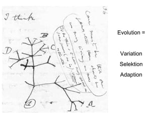 Evolution =


 Variation
Selektion
 Adaption
 