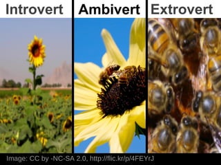 Introvert              Ambivert Extrovert




Image: CC by -NC-SA 2.0, http://flic.kr/p/4FEYrJ
 
