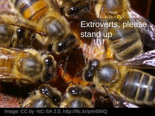 Extroverts, please
                                  stand up




Image: CC by -NC-SA 2.0, http://flic.kr/p/n45NQ
 