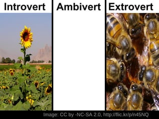 Introvert    Ambivert Extrovert




        Image: CC by -NC-SA 2.0, http://flic.kr/p/n45NQ
 