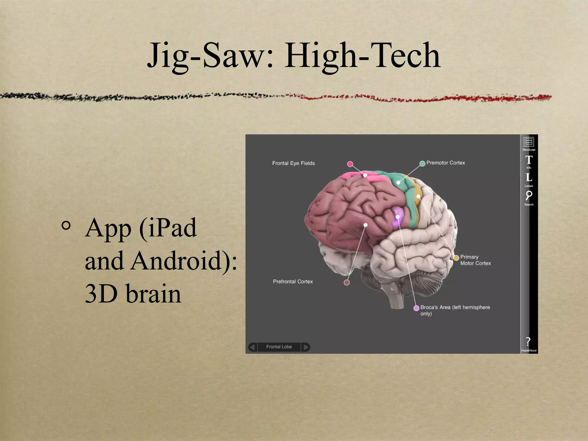 Jig-Saw: High-Tech



App (iPad
and Android):
3D brain
 