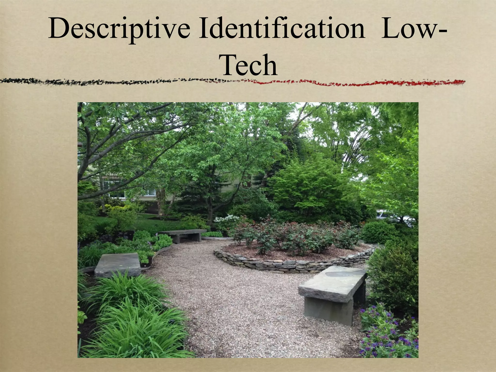 Descriptive Identification Low-
              Tech
 