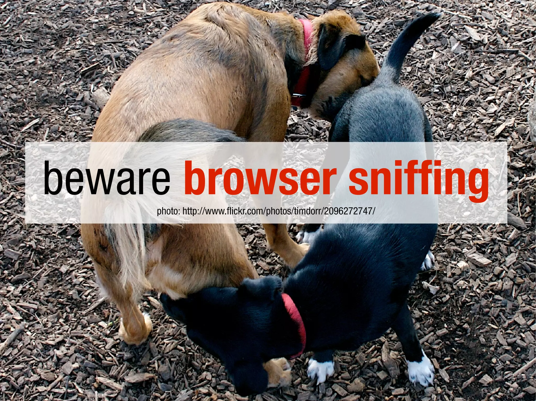 beware browser sniffing
photo: http://www.flickr.com/photos/timdorr/2096272747/