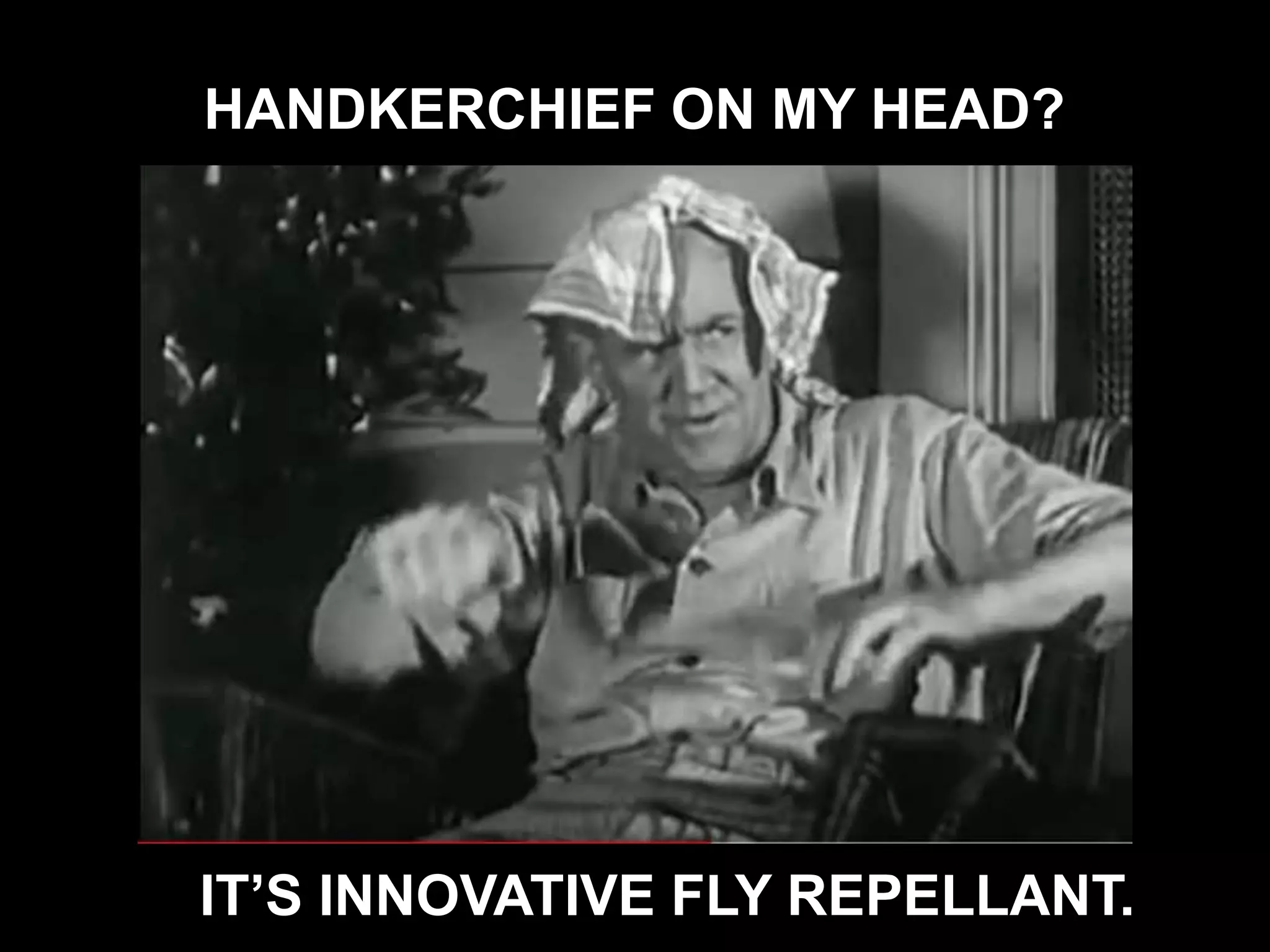 HANDKERCHIEF ON MY HEAD?
IT’S INNOVATIVE FLY REPELLANT.
 