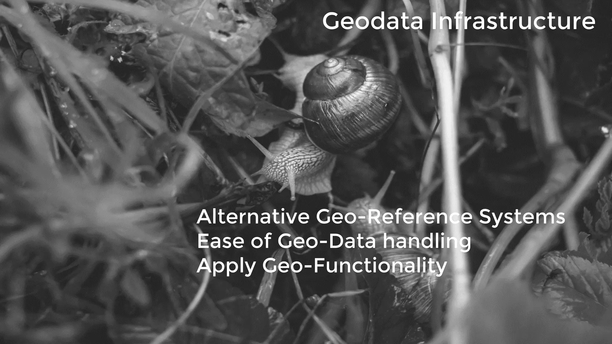 Geodata Infrastructure
Alternative Geo-Reference Systems
Ease of Geo-Data handling
Apply Geo-Functionality
 