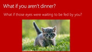 What if those eyes were waiting to be fed by you?
 