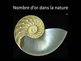 Nombre d’or dans la nature
 