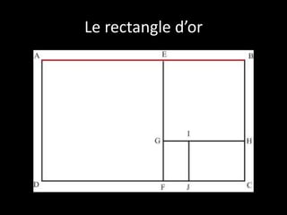 Le rectangle d’or
 