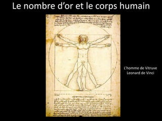 Le nombre d’or et le corps humain




                          L’homme de Vitruve
                            Leonard de Vinci
 