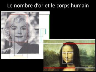 Le nombre d’or et le corps humain
 