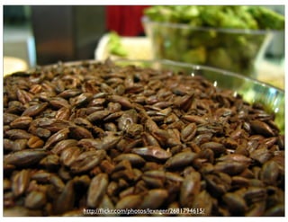 Ignite Orlando - Act 2