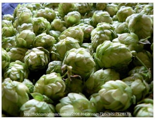 Ignite Orlando - Act 2