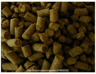 Ignite Orlando - Act 2