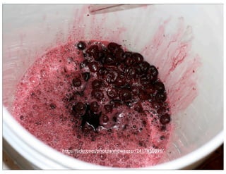 Ignite Orlando - Act 2