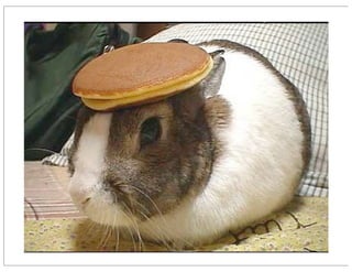 Ignite Orlando - Act 2