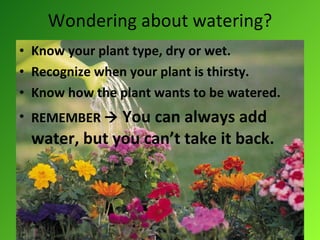 Wondering about watering? Know your plant type, dry or wet. Recognize when your plant is thirsty. Know how the plant wants to be watered. REMEMBER     You can always add water, but you can’t take it back. 