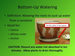 Bottom-Up Watering Definition: Allowing the roots to suck up water from a container Good for: Cactus African violet Orchid CAUTION: Discard any water not absorbed in ten  minutes.  Allow plants to drain thoroughly. 