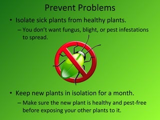 Prevent Problems Isolate sick plants from healthy plants. You don’t want fungus, blight, or pest infestations to spread. Keep new plants in isolation for a month. Make sure the new plant is healthy and pest-free before exposing your other plants to it. 